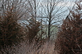 Our house again 2