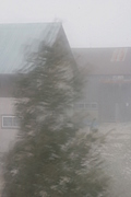 Moving tree, crouching building