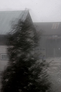 Moving tree, crouching building [edited]