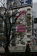 Big square 9: Yen shop tree 2
