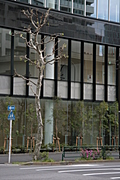 One way tree