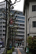 More trees