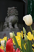 Japanese temple 36