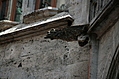 Garglyle 4