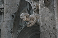 Gargoyle 9