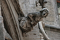 Gargoyle 12