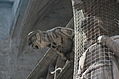 Gargoyle 14