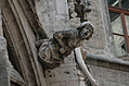 Gargoyle 17