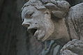 Gargoyle 19