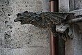Gargoyle 20