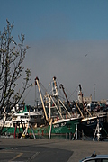 Boats in the harbour