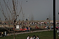By the sea 1