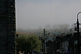 Trees in the mist
