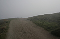 Path through the mist 4