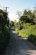 Country lane
