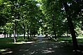 A Walk in the Park 1