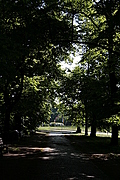 A Walk in the Park 2