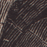 part of a scanned engraving