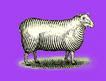 sponsored by ChiatDay