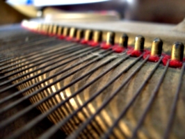 [picture: Piano wire pins]