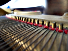 [picture: Piano wire pins 2]