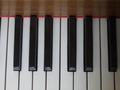 [Picture: Piano keys from above]
