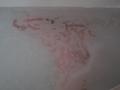 [Picture: Bare foot underwater 3]