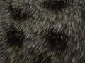 [Picture: Cat hair]