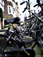 [picture: Bikes]