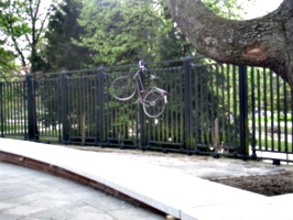 [picture: Suicidal Bike]