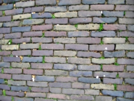 [picture: Cobbles 2]