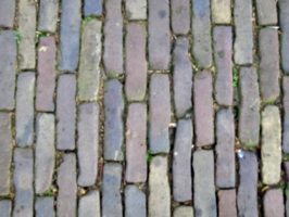 [picture: Cobbles 3]