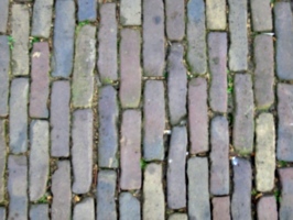 [picture: Cobbles 4]