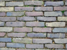 [picture: Cobbles 5]