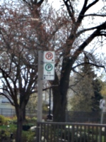 [picture: No Parking]
