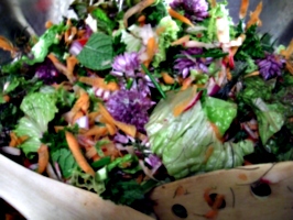 [picture: Salad Bowl 3]