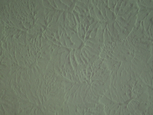 [Picture: texture: plaster ceiling]