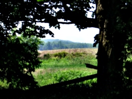 [picture: View from the Balcony]