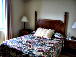 [picture: Hotel bed 2]