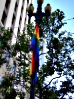 [picture: SF Rainbow Flag]