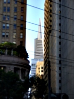 [picture: San Francisco Buildings 4]