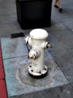 [picture: White fire hydrant]