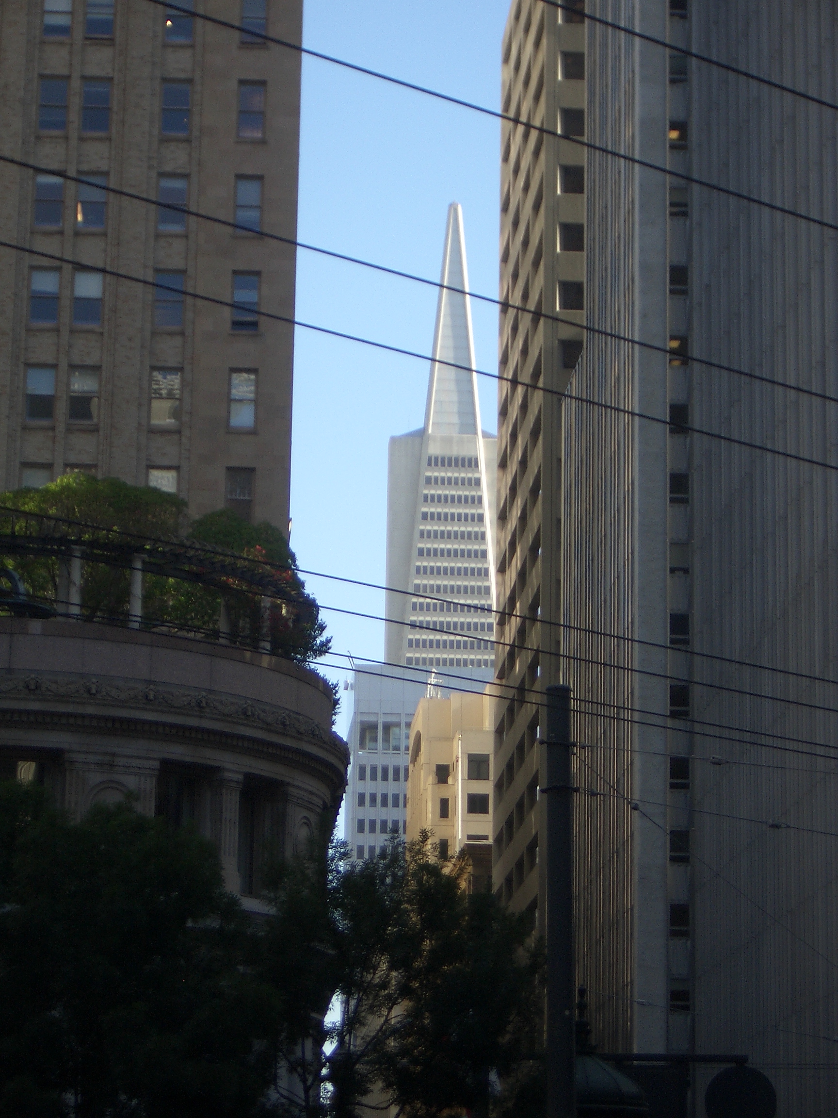[Picture: San Francisco Buildings 4]