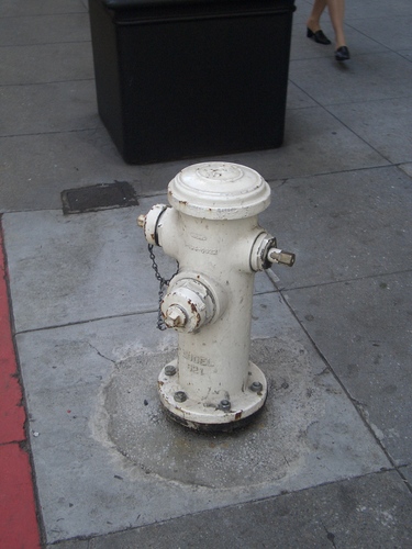 [Picture: White fire hydrant]