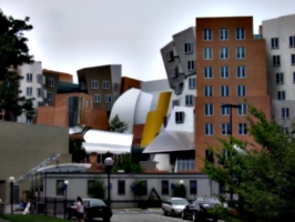 [picture: Stata Center from the back]