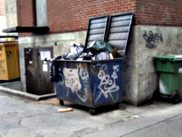 [picture: Dumpster]
