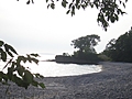 [Picture: Point Petre Tree 3]