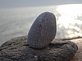 [Picture: Small Rock With Longitudinal Lines]