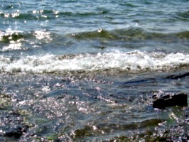 [picture: Water on rocky shore 4]