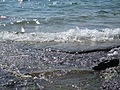 [Picture: Water on rocky shore 5]